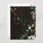 Aquarium in Kanada, Toronto, Kanada Postkarte (Vorne/Hinten)