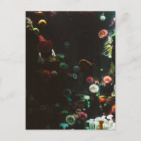 Aquarium in Kanada, Toronto, Kanada