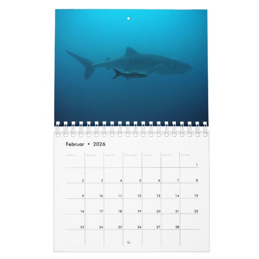Aquarium Kalender (Feb 2026)