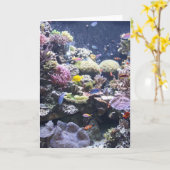 Aquarium Karte (Gelbe Blume)