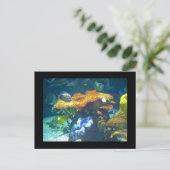 Aquarium-Karte Postkarte (Stehend Vorderseite)
