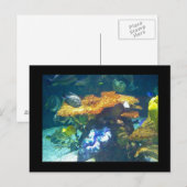 Aquarium-Karte Postkarte (Vorne/Hinten)
