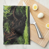 Aquarium Layout of Freshwater Angelfishes Küchentuch (Viertel Falte)