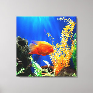 Aquarium Leinwanddruck