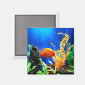 Aquarium Magnet (Vorderseite/Rückseite)