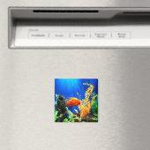 Aquarium Magnet (In Situ (Geschirrspüler))