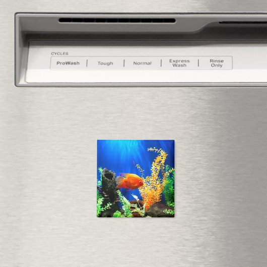 Aquarium Magnet (In Situ (Geschirrspüler))