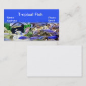 Aquarium mit schönen bunten tropischen Fischen Visitenkarte (Vorne/Hinten)
