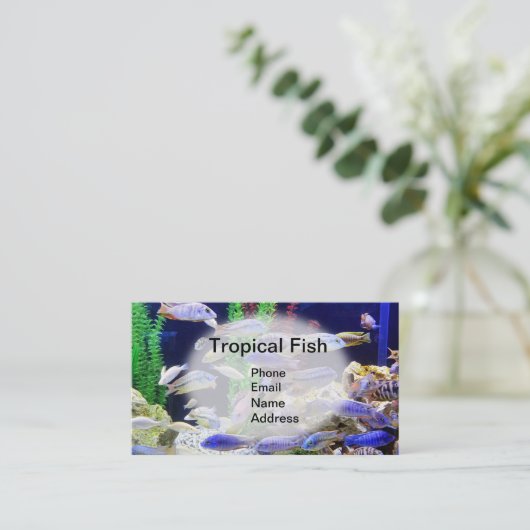 Aquarium mit schönen tropischen Fischen Visitenkarte (Stehend Vorderseite)