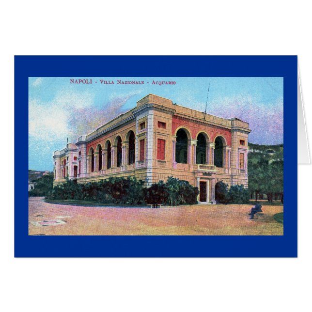 Aquarium, Napoli Neapel Italien 1915 Vintag (Vorderseite (Horizontal))