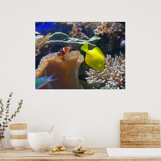 Aquarium (Nemo) Poster (Küche)