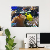 Aquarium (Nemo) Poster (Heimbüro)
