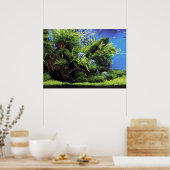 Aquarium of Freshwater Angelfish Poster (Küche)