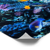Aquarium Poster (Ecke)