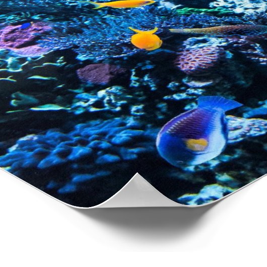 Aquarium Poster (Ecke)