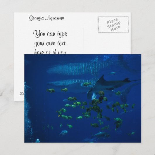 Aquarium Postkarte (Vorne/Hinten)