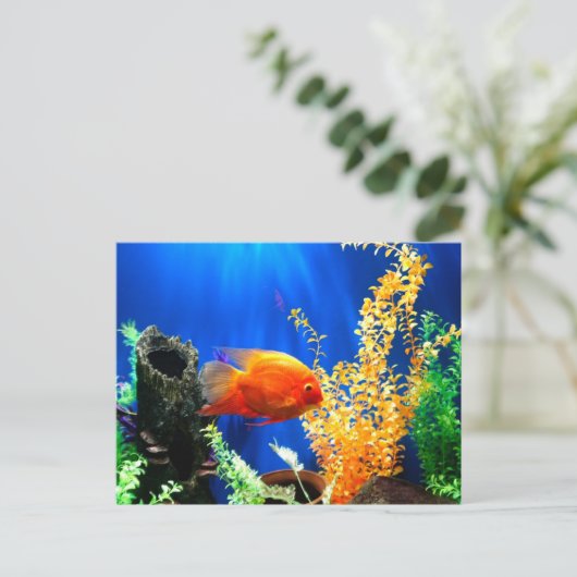 Aquarium Postkarte (Stehend Vorderseite)