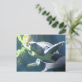 Aquarium Postkarte (Stehend Vorderseite)