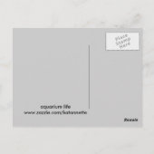Aquarium Postkarte (Rückseite)