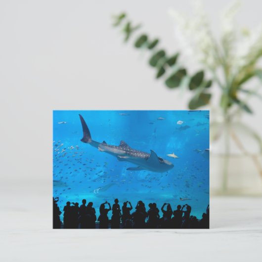 Aquarium Postkarte (Stehend Vorderseite)