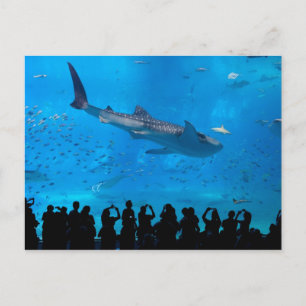 Aquarium Postkarte