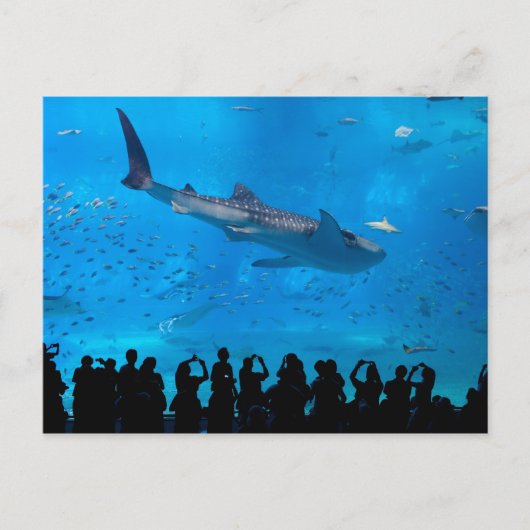 Aquarium Postkarte (Vorderseite)