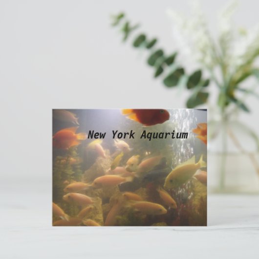 Aquarium Postkarte (Stehend Vorderseite)