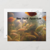 Aquarium Postkarte (Vorne/Hinten)