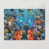 Aquarium Postkarte (Vorderseite)