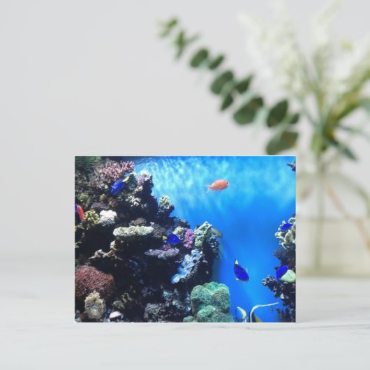 Aquarium Postkarte (Stehend Vorderseite)