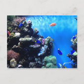 Aquarium Postkarte (Vorderseite)