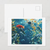 Aquarium Postkarten (Vorne/Hinten)