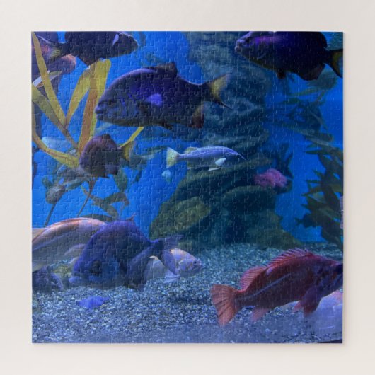 Aquarium Puzzle (Vertikal)