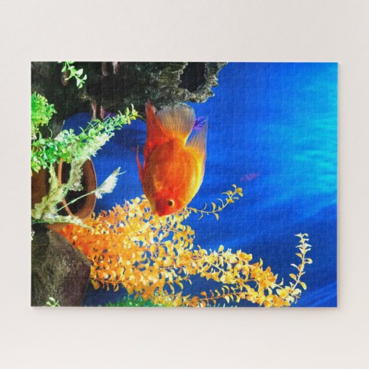 Aquarium Puzzle (Horizontal)