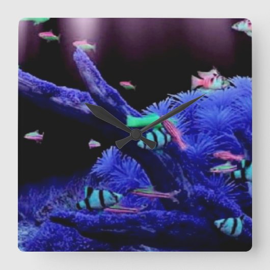 Aquarium Quadratische Wanduhr (Vorderseite)