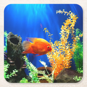 Aquarium Rechteckiger Pappuntersetzer