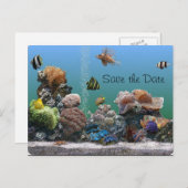 Aquarium Save the Date Ankündigungspostkarte (Vorne/Hinten)