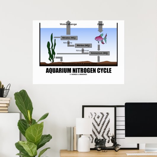 Aquarium-Stickstoff-Zyklus (Ökologie) Poster (Heimbüro)