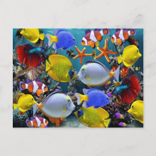 Aquarium-Tropenfisch-Fischen Postkarte