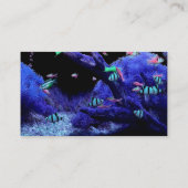 Aquarium Visitenkarte (Rückseite)