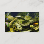 Aquarium-Visitenkarten Visitenkarte (Rückseite)