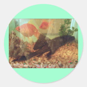 Aquariums-Aufkleber Runder Aufkleber
