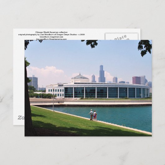 Aquariumsammlung Chicagos Shedd Postkarte (Vorne/Hinten)