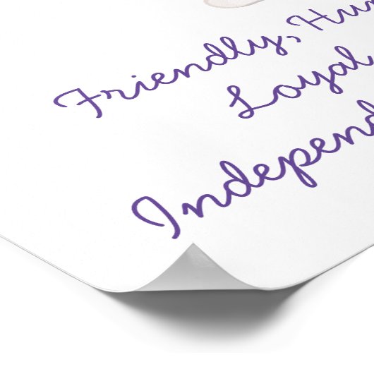 Aquarius - Boy Horoscope Poster (Ecke)