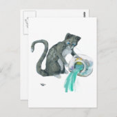 Aquarius Cat Postkarte (Vorne/Hinten)