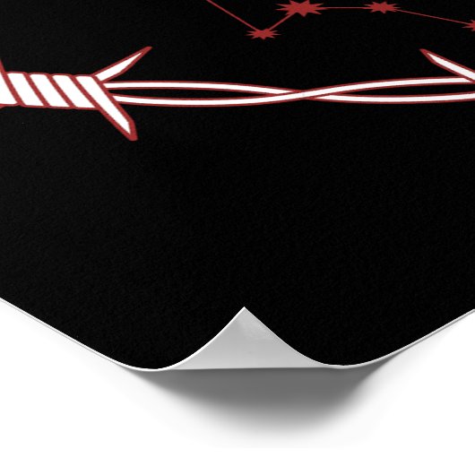 Aquarius Constellation Gothic Dark Celestial Art Poster (Ecke)