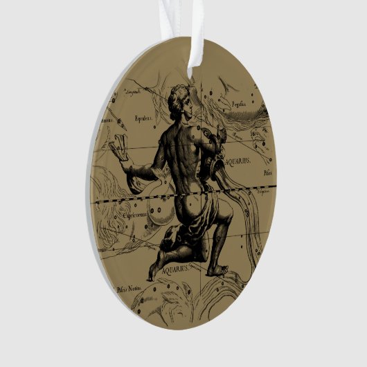 Aquarius Constellation Hevelius 1690 Gravur Ornament (Vorderseite)