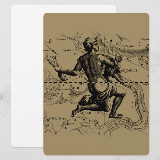 Aquarius Constellation Hevelius 1690 Jan 20 Feb 18 (Vorne/Hinten)