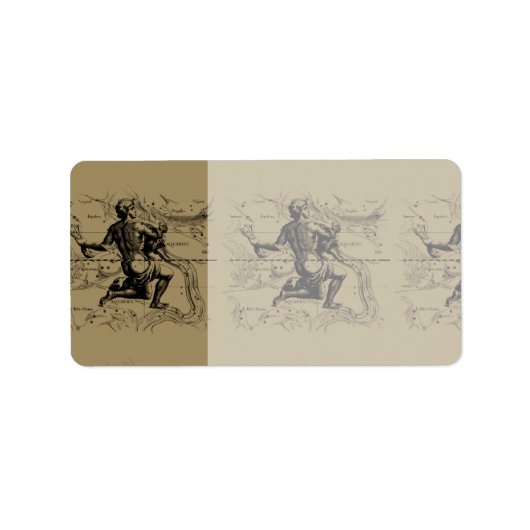 Aquarius Constellation Map Hevelius 1690 auf Taupe Adressaufkleber (Vorne)