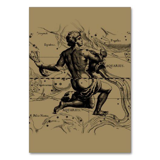 Aquarius Constellation Map Hevelius 1690 auf Taupe Tischnummer (Vorderseite)